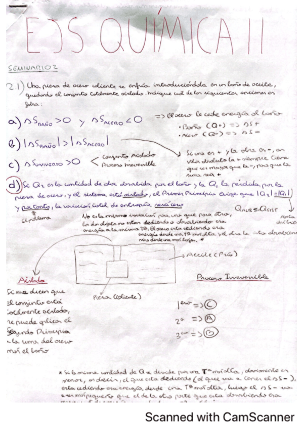 Miniatura del documento SEMINARIO-2.pdf