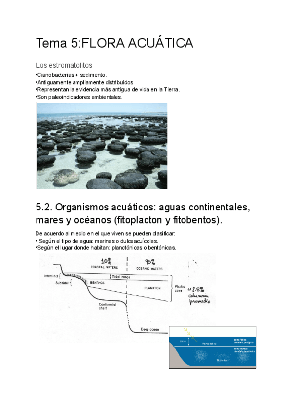 Miniatura del documento Tema-5FLORA-ACUATICA.pdf
