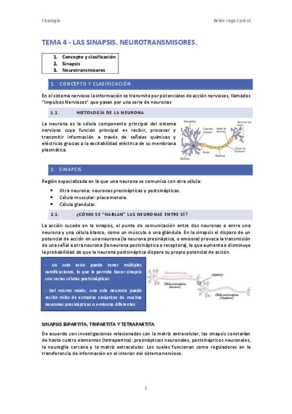 Miniatura del documento TEMA4LASSINAPSIS.pdf