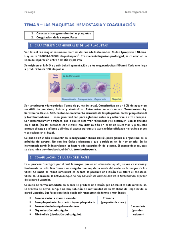 Miniatura del documento TEMA9PLAQUETAS.pdf