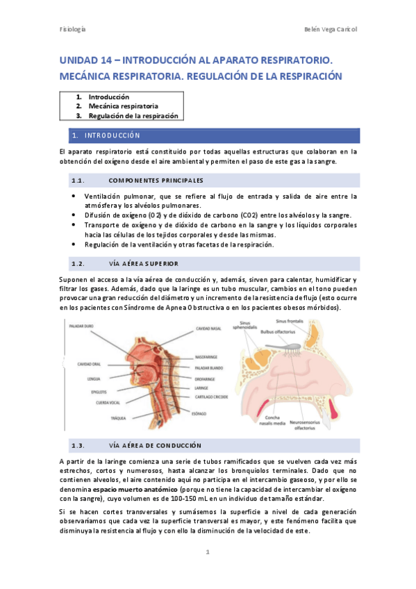 Miniatura del documento UNIDAD14INTRODUCCIONALAPARATORESPIRATORIO.pdf