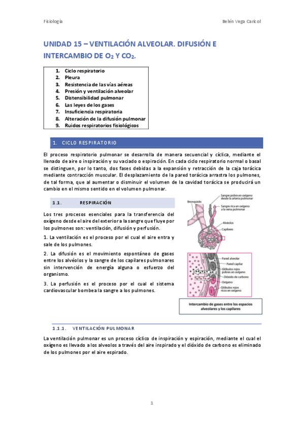 Miniatura del documento UNIDAD15VENTILACIONALVEOLAR.pdf
