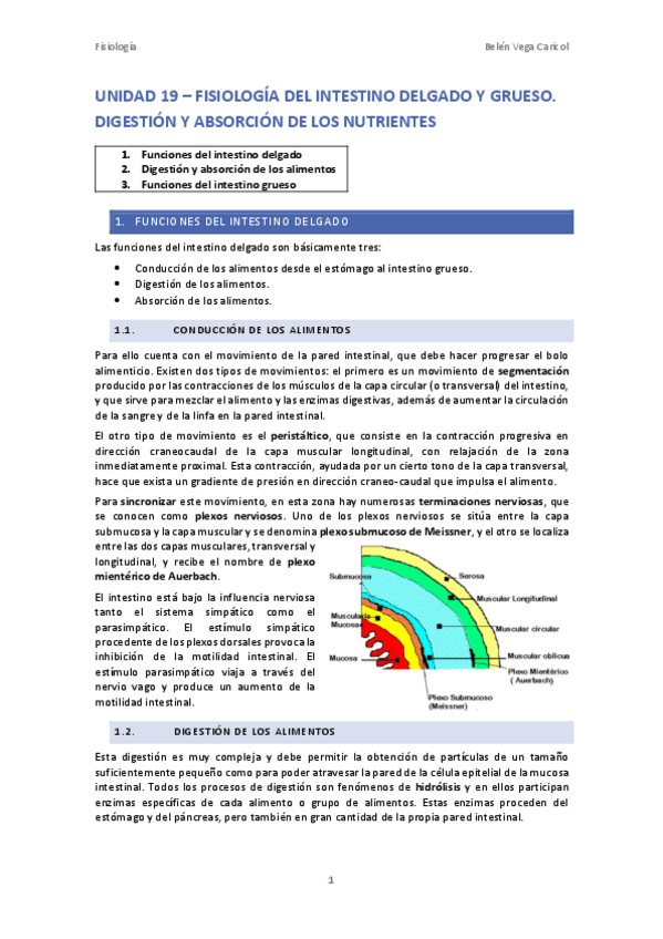 Miniatura del documento UNIDAD19FISIOLOGIADELINTESTINODELGADOYGRUESO.pdf