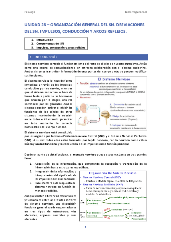 Miniatura del documento UNIDAD28ORGANIZACIONDELSN.pdf