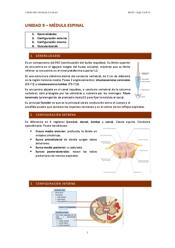 Miniatura del documento UNIDAD9MEDULAESPINAL.pdf