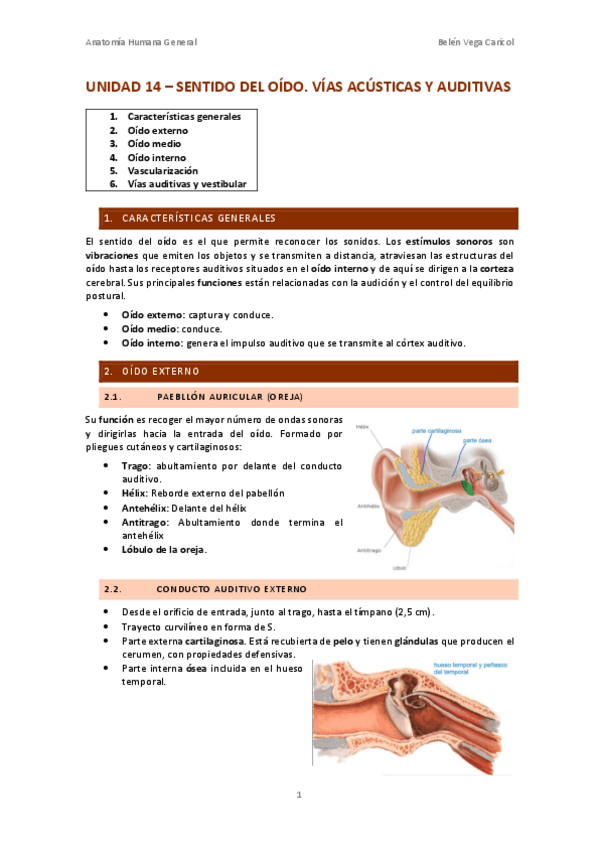 Miniatura del documento UNIDAD14SENTIDODELOIDO.pdf