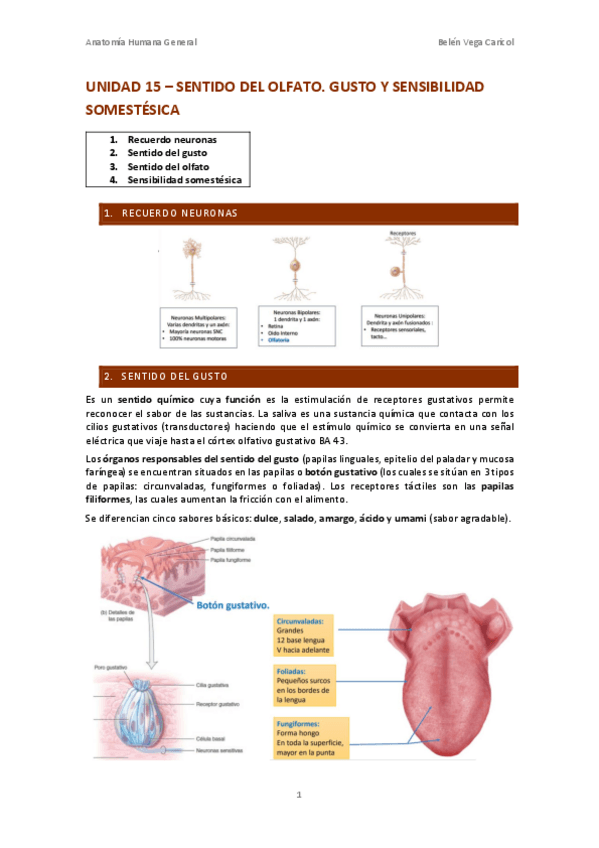 Miniatura del documento UNIDAD15SENTIDODELOLFATO.pdf