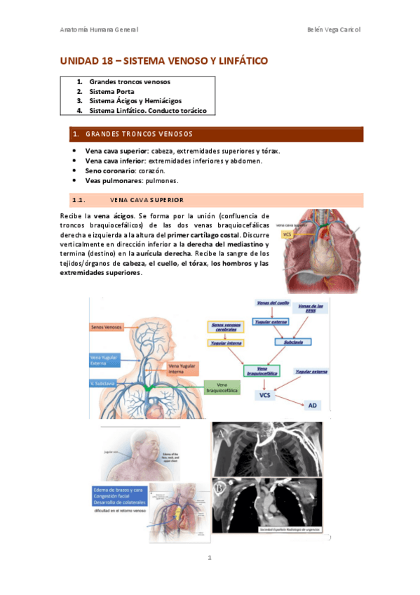 Miniatura del documento UNIDAD18SISTEMAVENOSOYLINFATICO.pdf
