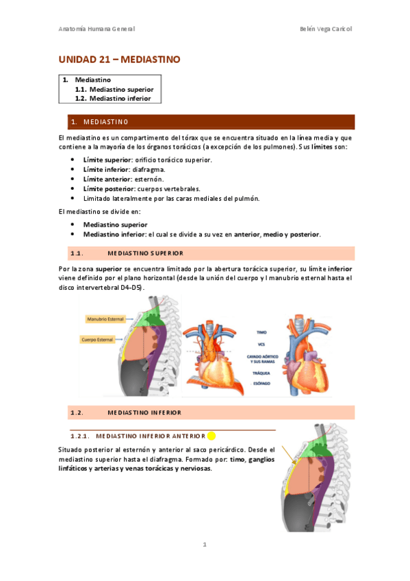 Miniatura del documento UNIDAD21MEDIASTINO.pdf