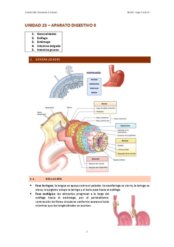 Miniatura del documento UNIDAD23APARATODIGESTIVOII.pdf