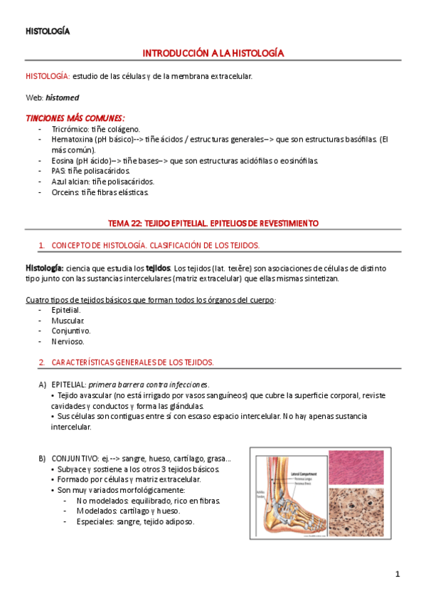 Miniatura del documento HISTOLOGIA-Intro-y-tema-22.pdf