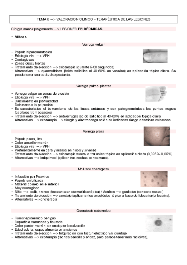 Miniatura del documento TEMA-6.pdf