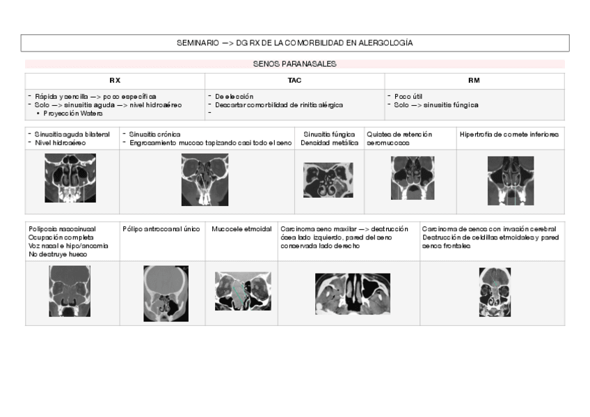 Miniatura del documento SEMINARIO-ALERGO.pdf