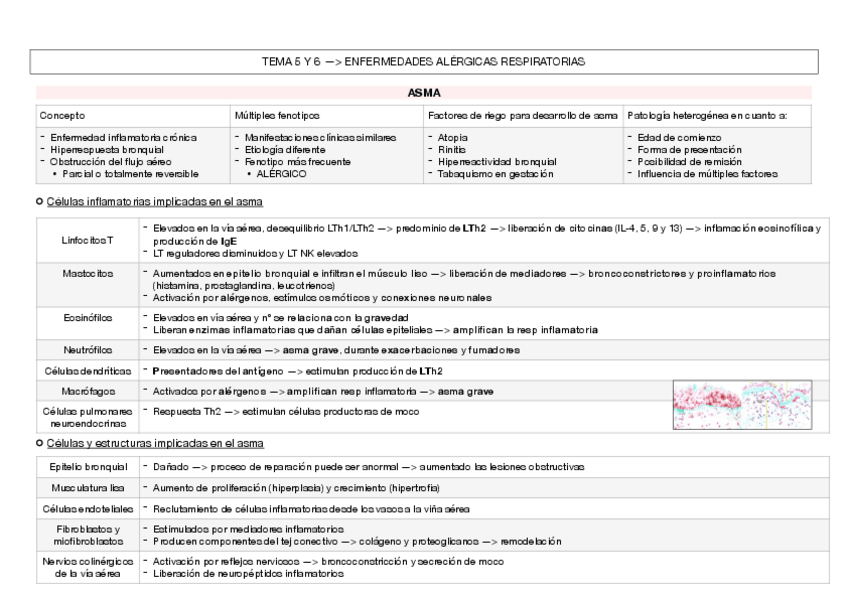 Miniatura del documento TEMA-5-Y-6.pdf