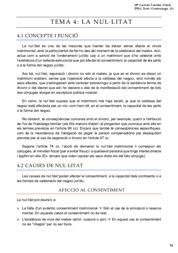 Miniatura del documento TEMA-4-LA-NULLITAT.pdf