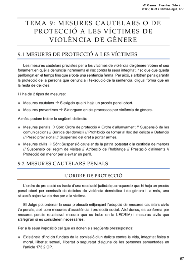 Miniatura del documento TEMA-9-MESURES-CAUTELARS-O-DE-PROTECCIO-A-LES-VICTIMES-DE-VIOLENCIA-DE-GENERE.pdf