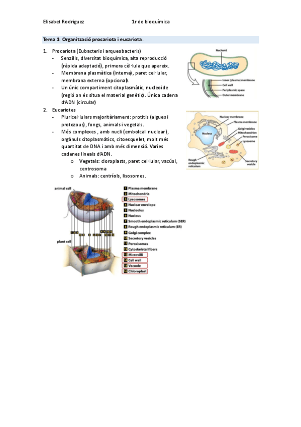 Miniatura del documento biologia-celular-tema-1-15.pdf