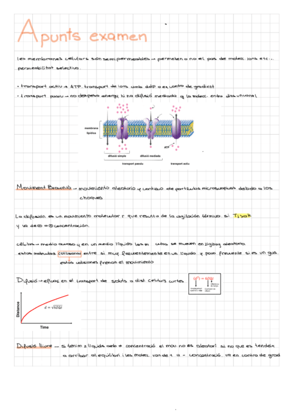 Miniatura del documento Biofisica.pdf
