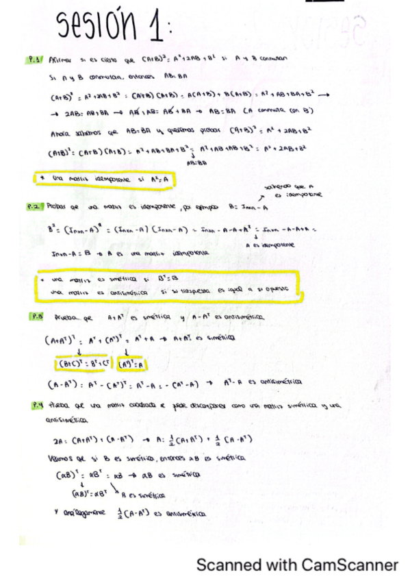 Miniatura del documento Sesion-1-11-para-examen.pdf