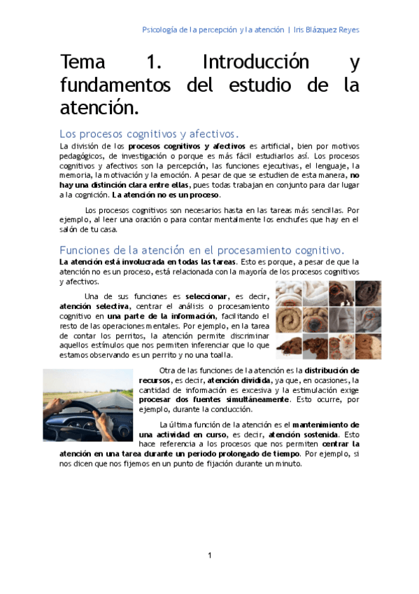 Miniatura del documento TEMA 1. INTRODUCCIÓN Y FUNDAMENTOS DEL ESTUDIO DE LA ATENCIÓN.pdf