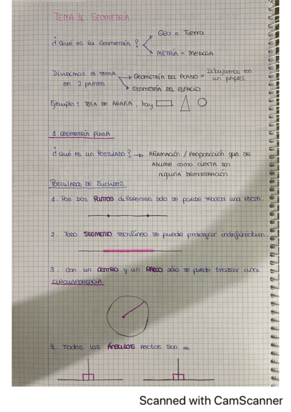 Miniatura del documento Tema-4-GEOMETRIA.pdf