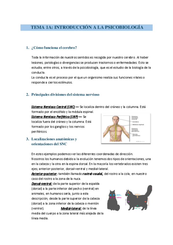Miniatura del documento TEMA-1-INTRODUCCION-A-LA-PSICOBIOLOGIA-I.pdf