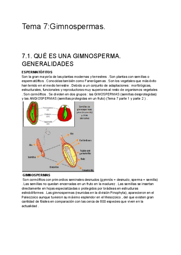 Miniatura del documento Tema-7Gimnospermas.pdf