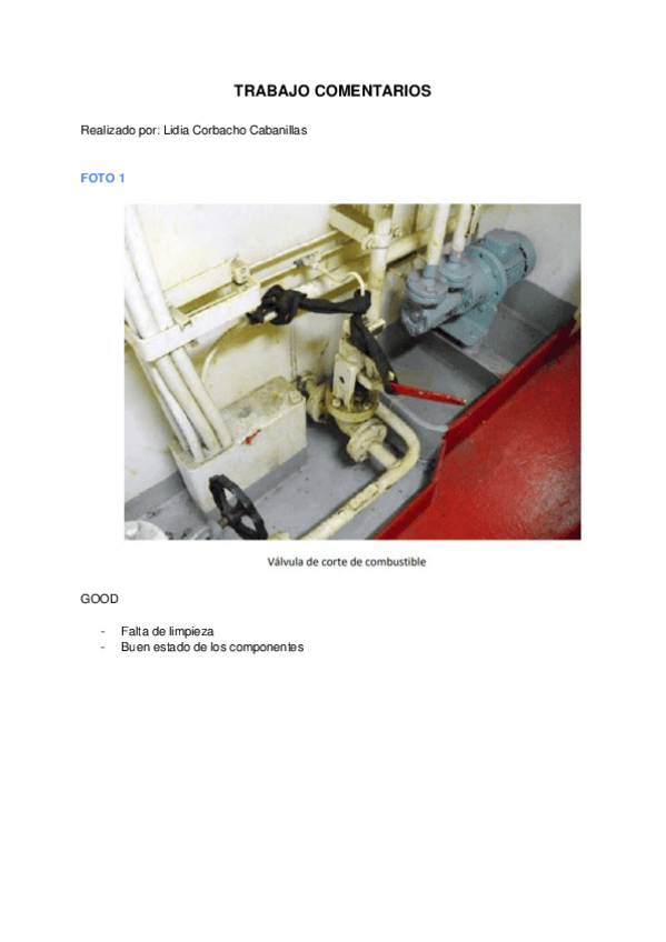 Miniatura del documento Trabajo-Comentarios.pdf