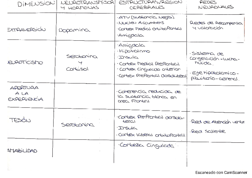 Miniatura del documento T4-ESQUEMA-personalidad.pdf