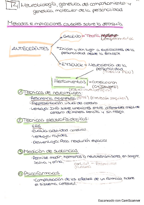 Miniatura del documento T4-personalidad.pdf