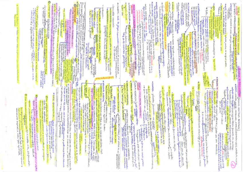 Miniatura del documento Esquema-importante-Evolutiva-I.pdf