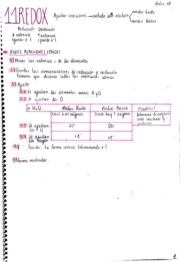 Miniatura del documento Redox.pdf