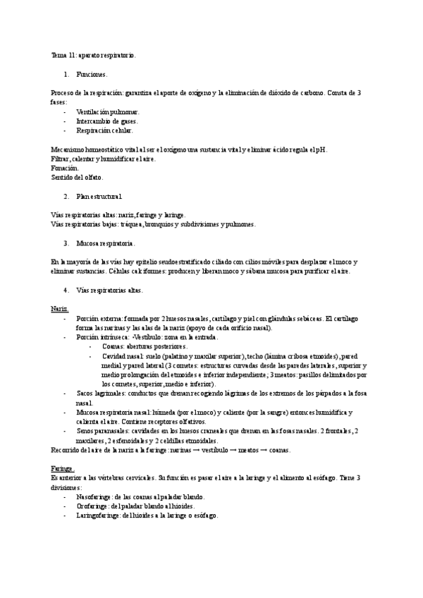 Miniatura del documento anatomia-humana-tema-11..pdf