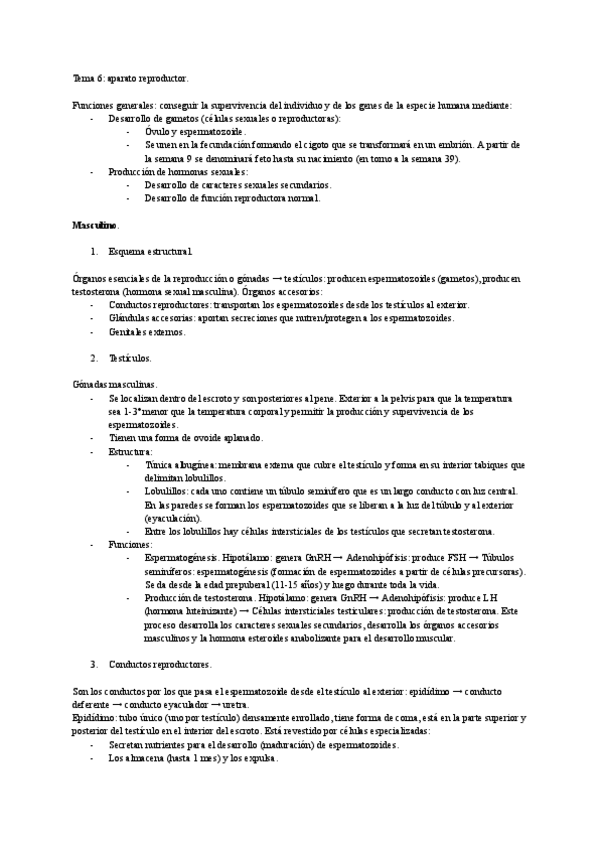 Miniatura del documento anatomia-humana-tema-6..pdf