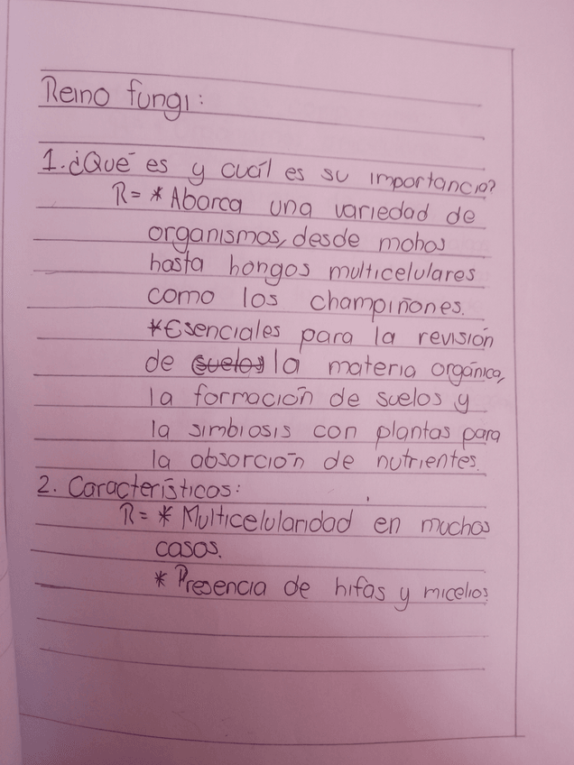Miniatura del documento IMG20240730140936.jpg