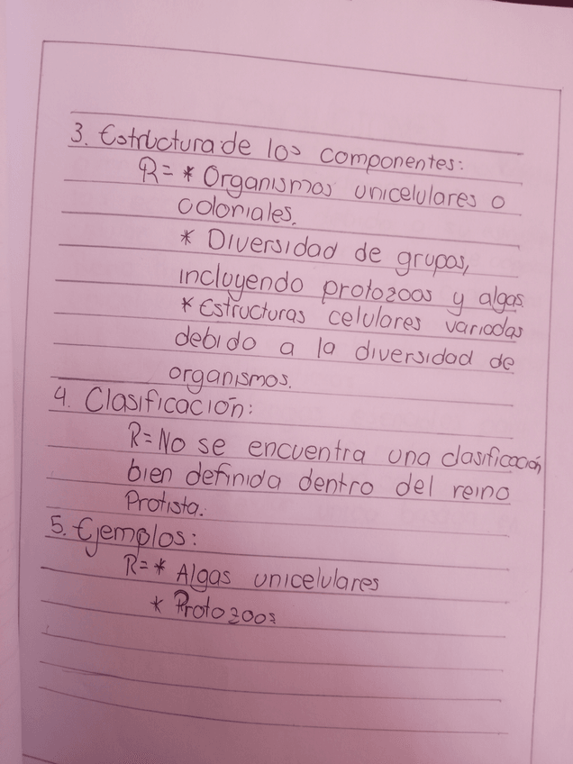 Miniatura del documento IMG20240730140946.jpg