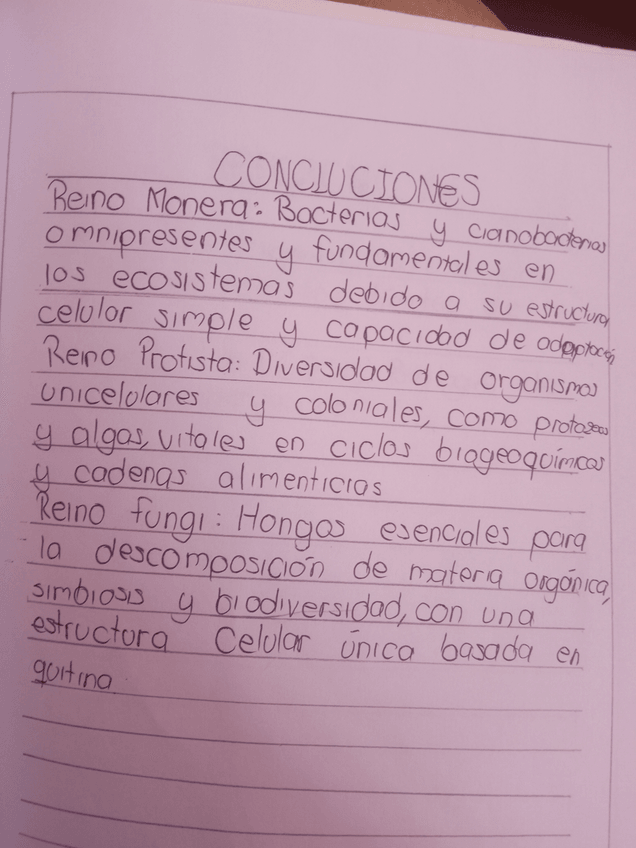 Miniatura del documento IMG20240730140951.jpg