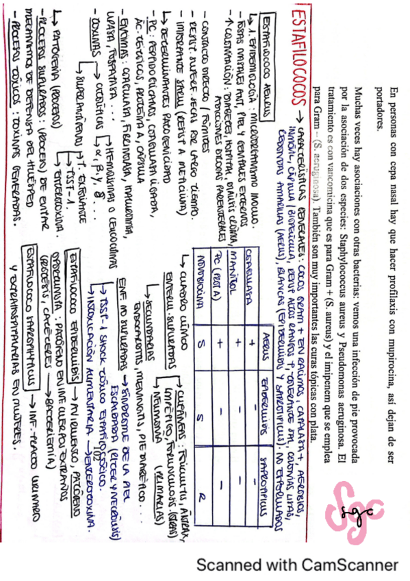 Miniatura del documento Esquemas-resumen-bacterias-y-virus-2B.pdf
