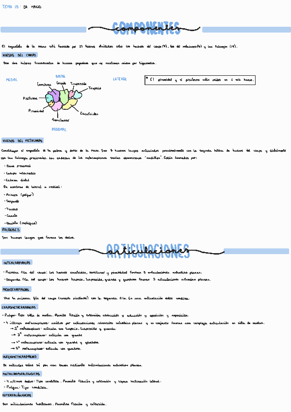 Miniatura del documento Tema-13-La-mano.pdf