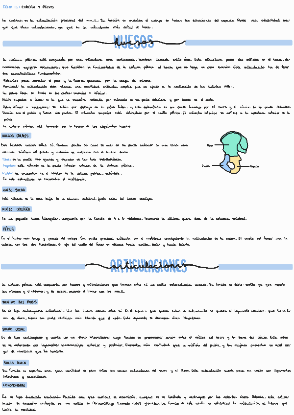 Miniatura del documento Tema-15-Cadera-y-pelvis.pdf