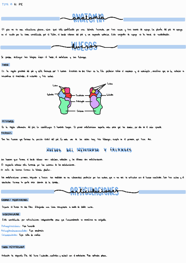 Miniatura del documento Tema-18-El-pie.pdf