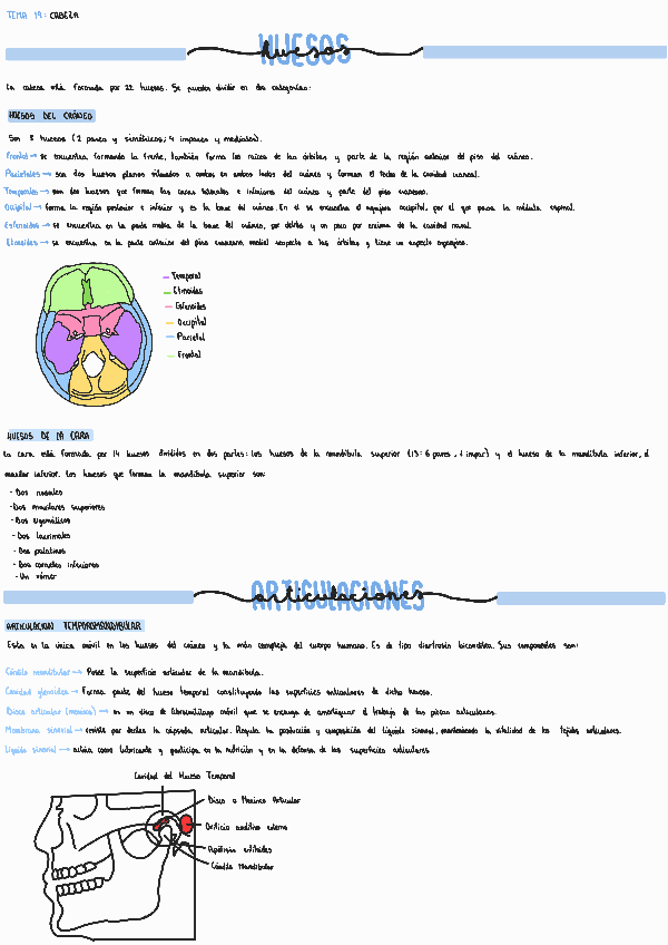 Miniatura del documento Tema-19-Cabeza.pdf