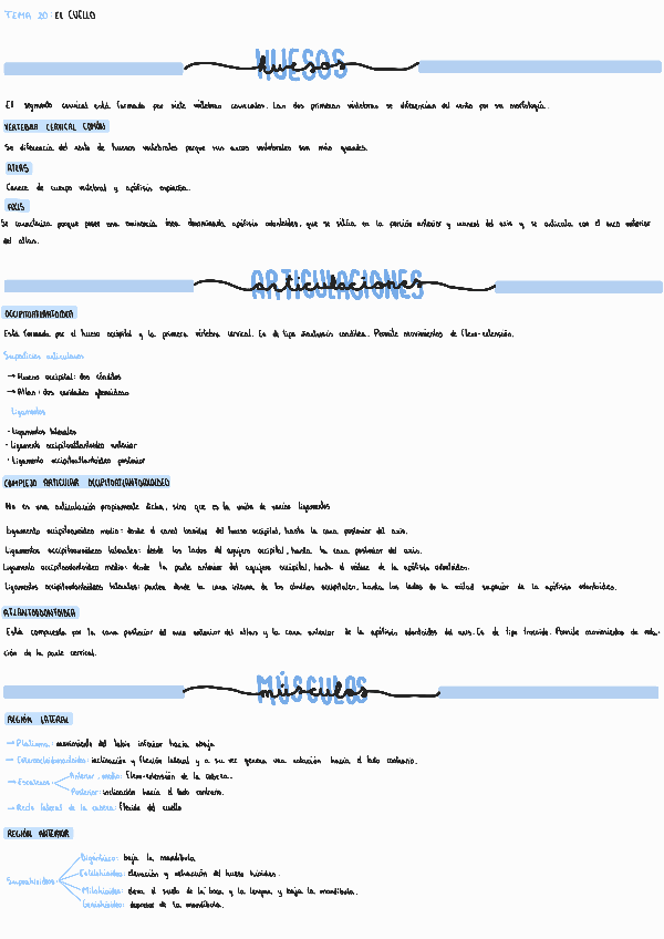 Miniatura del documento Tema-20-El-cuello.pdf