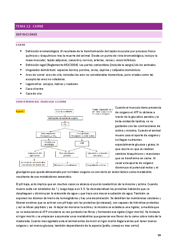Miniatura del documento Parcial-2-Bromatologia-1.pdf
