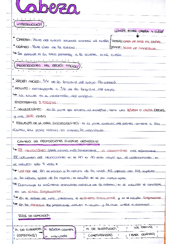 Miniatura del documento cabeza.pdf