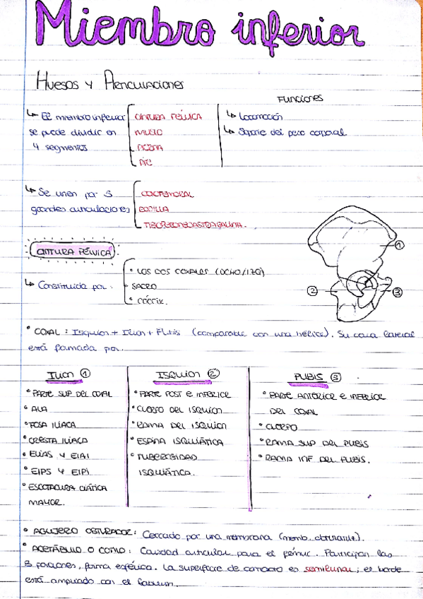 Miniatura del documento miembro inf.pdf