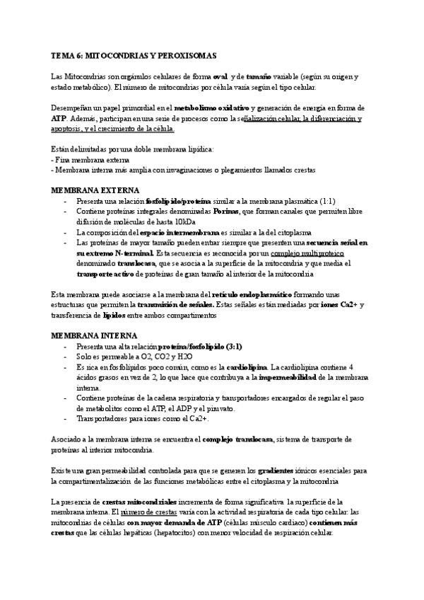 Miniatura del documento TEMA-6.pdf
