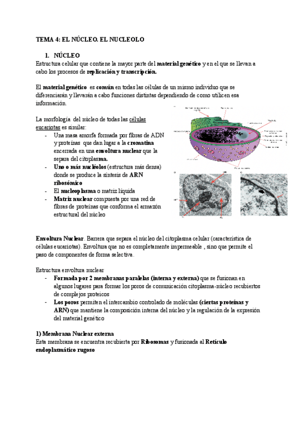 Miniatura del documento TEMA-4-Y-5.pdf