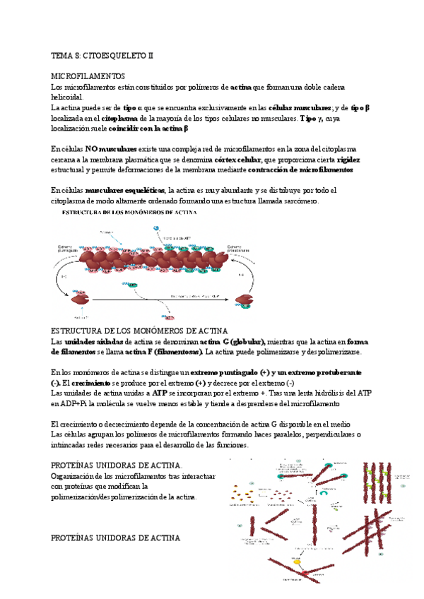 Miniatura del documento TEMA-8.pdf