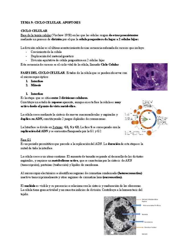 Miniatura del documento TEMA-9.pdf
